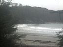 ./images/calvert/beach/20211113/beach20211113_111003.jpg