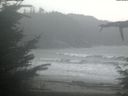 ./images/calvert/beach/20211114/beach20211114_085003.jpg