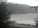 ./images/calvert/beach/20211115/beach20211115_091503.jpg