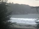 ./images/calvert/beach/20211115/beach20211115_114502.jpg