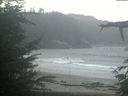 ./images/calvert/beach/20211115/beach20211115_121502.jpg