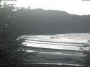 ./images/calvert/beach/20211115/beach20211115_125503.jpg