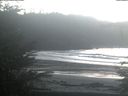 ./images/calvert/beach/20211115/beach20211115_135001.jpg