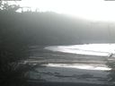 ./images/calvert/beach/20211115/beach20211115_143502.jpg