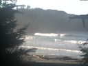 ./images/calvert/beach/20211116/beach20211116_100003.jpg