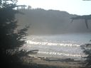 ./images/calvert/beach/20211116/beach20211116_101002.jpg