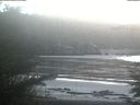./images/calvert/beach/20211116/beach20211116_163502.jpg