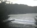 ./images/calvert/beach/20211118/beach20211118_111501.jpg