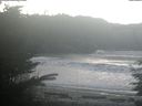 ./images/calvert/beach/20211118/beach20211118_131001.jpg