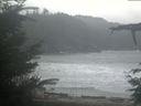./images/calvert/beach/20211120/beach20211120_124503.jpg