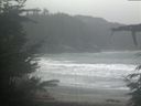 ./images/calvert/beach/20211121/beach20211121_145502.jpg