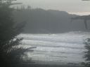 ./images/calvert/beach/20211122/beach20211122_122002.jpg