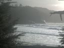 ./images/calvert/beach/20211122/beach20211122_143502.jpg