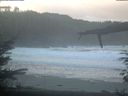 ./images/calvert/beach/20220131/beach20220131_085002.jpg