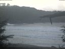 ./images/calvert/beach/20220131/beach20220131_100502.jpg