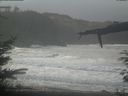 ./images/calvert/beach/20220131/beach20220131_102001.jpg