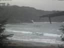 ./images/calvert/beach/20220131/beach20220131_103502.jpg