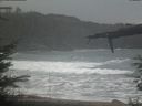 ./images/calvert/beach/20220131/beach20220131_110501.jpg