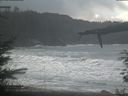 ./images/calvert/beach/20220131/beach20220131_111002.jpg