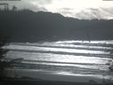 ./images/calvert/beach/20220131/beach20220131_140003.jpg
