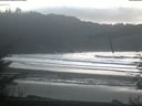./images/calvert/beach/20220131/beach20220131_145002.jpg