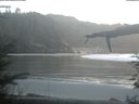 ./images/calvert/beach/20220131/beach20220131_164502.jpg
