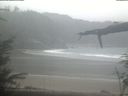 ./images/calvert/beach/20220202/beach20220202_091502.jpg