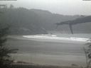 ./images/calvert/beach/20220202/beach20220202_165502.jpg