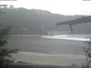 ./images/calvert/beach/20220203/beach20220203_082002.jpg