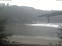 ./images/calvert/beach/20220203/beach20220203_083503.jpg
