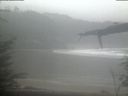 ./images/calvert/beach/20220204/beach20220204_094503.jpg