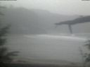 ./images/calvert/beach/20220204/beach20220204_103502.jpg