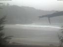 ./images/calvert/beach/20220204/beach20220204_111501.jpg