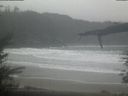./images/calvert/beach/20220204/beach20220204_124501.jpg