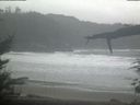 ./images/calvert/beach/20220204/beach20220204_125502.jpg