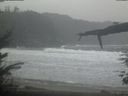 ./images/calvert/beach/20220204/beach20220204_131501.jpg