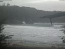 ./images/calvert/beach/20220204/beach20220204_133503.jpg