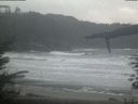 ./images/calvert/beach/20220204/beach20220204_162501.jpg