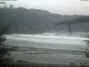 ./images/calvert/beach/20220204/beach20220204_173503.jpg