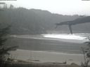 ./images/calvert/beach/20220209/beach20220209_150501.jpg