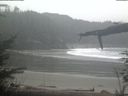 ./images/calvert/beach/20220209/beach20220209_151501.jpg