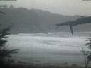 ./images/calvert/beach/20220210/beach20220210_074002.jpg