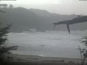 ./images/calvert/beach/20220210/beach20220210_082002.jpg