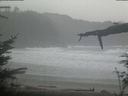./images/calvert/beach/20220210/beach20220210_092503.jpg