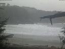 ./images/calvert/beach/20220210/beach20220210_094002.jpg