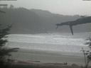 ./images/calvert/beach/20220210/beach20220210_100503.jpg