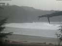 ./images/calvert/beach/20220210/beach20220210_101503.jpg
