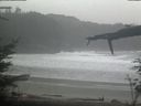 ./images/calvert/beach/20220210/beach20220210_103503.jpg