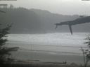 ./images/calvert/beach/20220210/beach20220210_105001.jpg