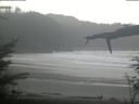 ./images/calvert/beach/20220210/beach20220210_112003.jpg